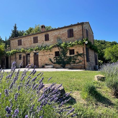 Bed and Breakfast L'Infinito Mombaroccio Exteriér fotografie
