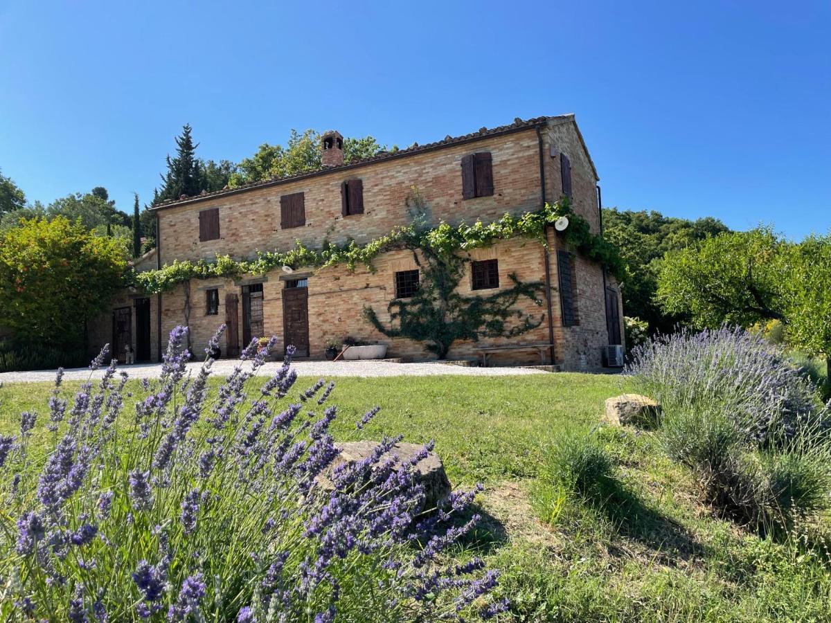 Bed and Breakfast L'Infinito Mombaroccio Exteriér fotografie